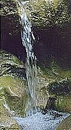 mu02.jpg (11902 bytes)